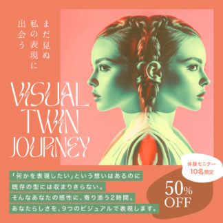 Visual Twin Journey